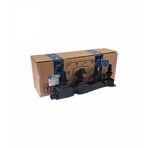 کوئل تیوفایو طرح مایفو ایساکو