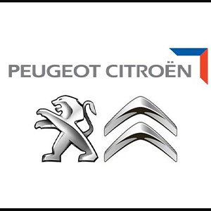 پژوسیتروئن